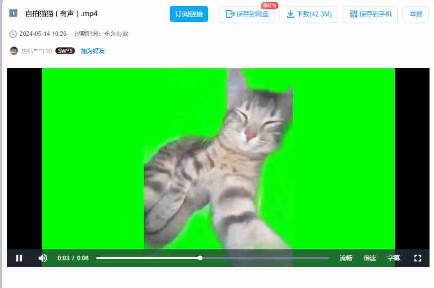 抖音爆火猫meme绿幕素材，猫表情包